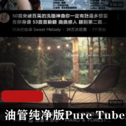 第三方免费高级版油管纯净版(PureTuber)正式版