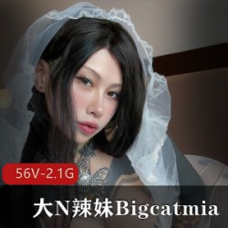 精选国人fansly纹身大N辣妹Bigcatmia [56V-2.1G]